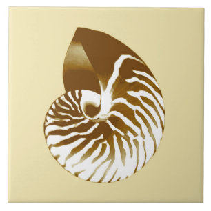 Carreau Coquille de Nautilus - marron, blanc et beige
