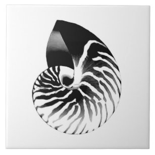 Carreau Coquille de Nautilus - noir, gris et blanc