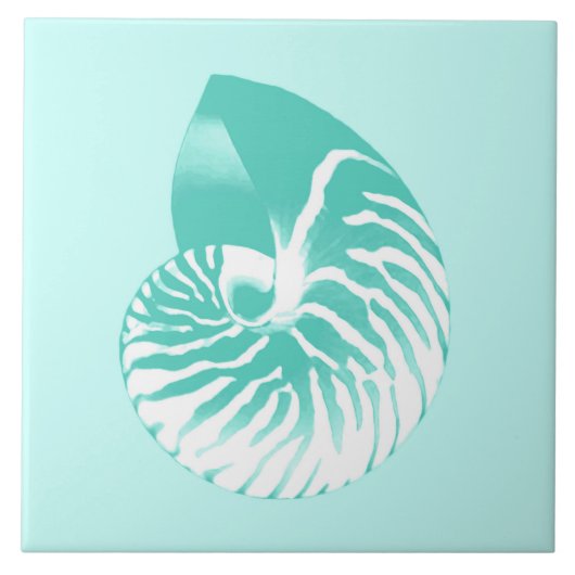 Carreau Coquille de Nautilus - turquoise, aqua et blanc (Devant)