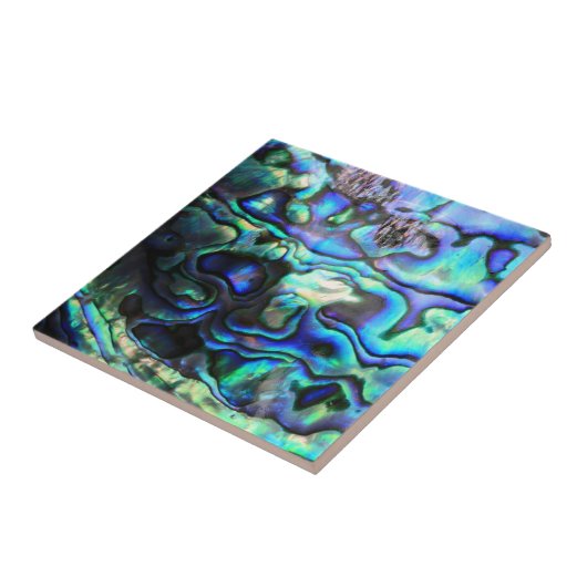 Carreau Coquille de paua (Côté)