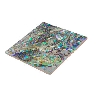 Carreau Coquille de paua de reine