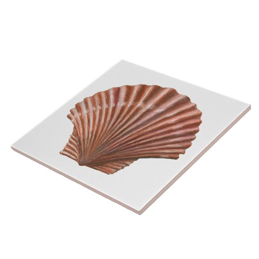 Carreau Coquille de saint Jacques (Côté)