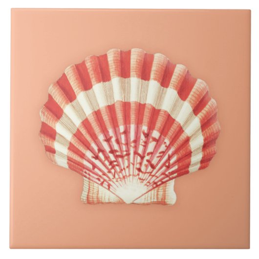 Carreau Coquille marine - corail orange et blanc (Devant)