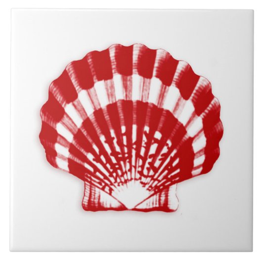 Carreau Coquille marine - rouge profond et blanc (Devant)