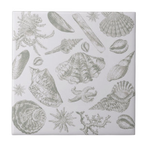 Carreau Coquilles de mer gris sauge doux croquis Antique N