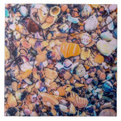 Carreau Coquilles et cailloux de mer (Devant)