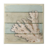 Carreau Corail crème (Devant)