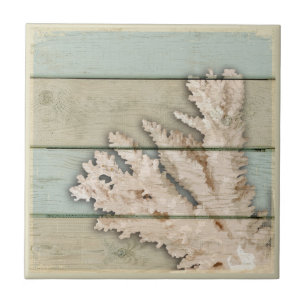 Carreau Corail crème