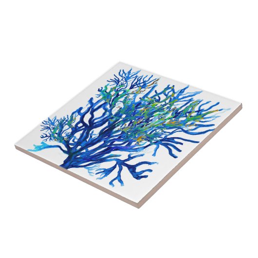 Carreau Corail de DeepBlue (Côté)