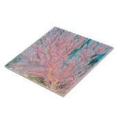 Carreau Corail de Gorgonian 3 (Côté)