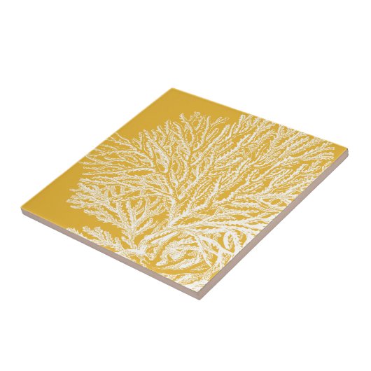 Carreau Corail jaune et blanc (Côté)