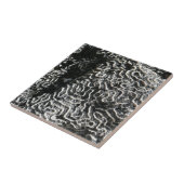 Carreau Corail noir et blanc I Abstrait Nature Photo (Côté)