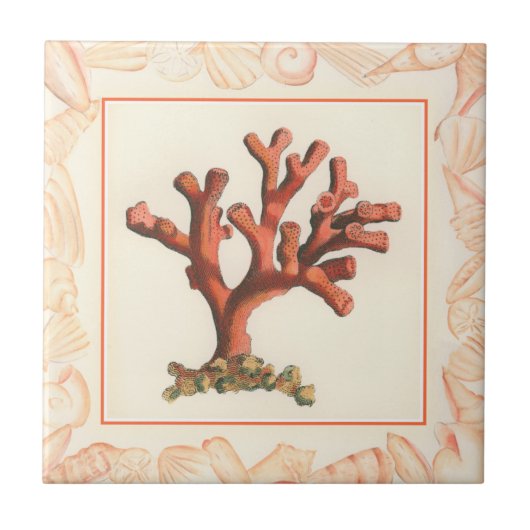 Carreau Corail rouge avec bordure conique (Devant)