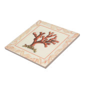 Carreau Corail rouge avec bordure conique (Côté)