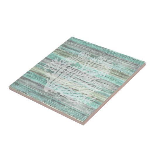 Carreau Corail rustique à la décoration côtière (Côté)