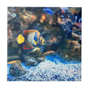 Carreau Corail tropical vibrant sous-marin de poissons