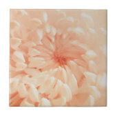 Carreau Coral Chrysanthemum (Devant)