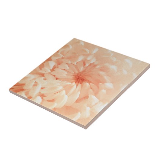 Carreau Coral Chrysanthemum (Côté)