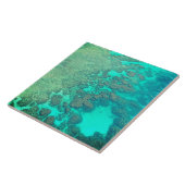 Carreau Coral reef céramique turquoise eau de l'océan (Côté)