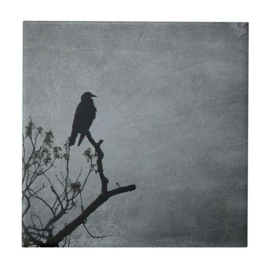 Carreau Corbeau (Devant)