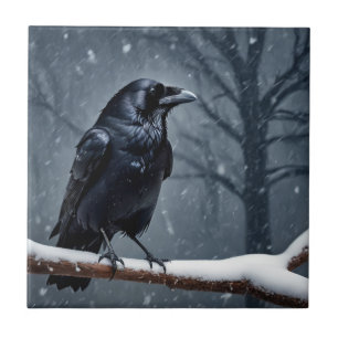 Carreau Corbeau noir foncé