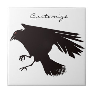 Carreau Corbeau noir vol Thunder_Cove