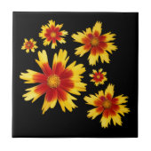 Carreau Coreopsis Or et Bronze Tickseed Flower Medley (Devant)