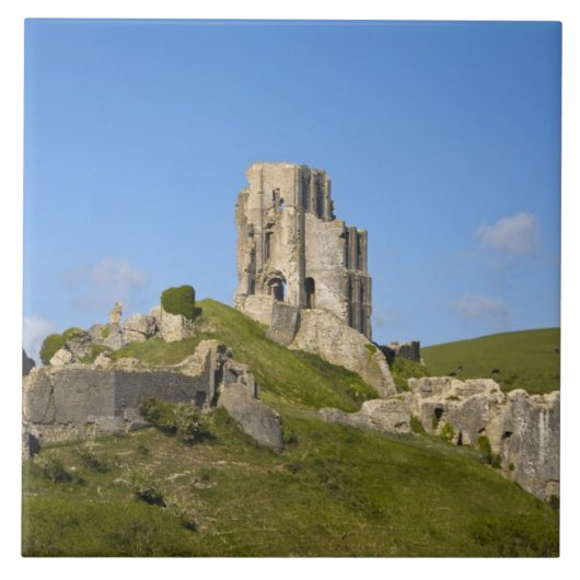 Carreau Corfe Castle, Corfe, Dorset, Angleterre (Devant)