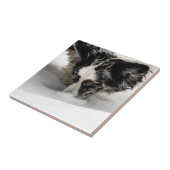 Carreau Corgi de museau de neige (Côté)