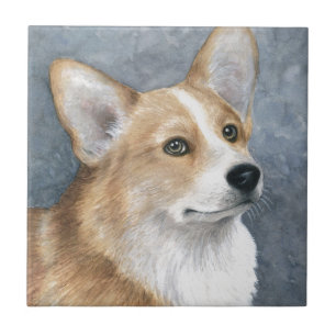 Carreau Corgi du chien 89