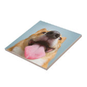 Carreau Corgi très heureux des images | de Getty (Côté)