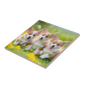 Carreau Corgies jouant dans l'herbe (Côté)