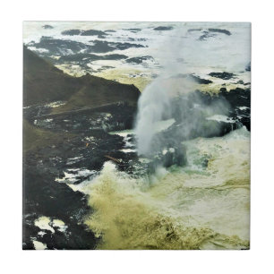 Carreau Corne de Spouting, cape Perpetua, Oregon Coast