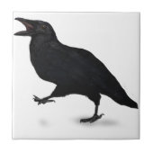 Carreau Corneille de Sqwarking (Devant)