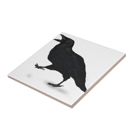 Carreau Corneille de Sqwarking (Côté)