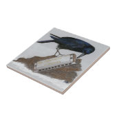 Carreau Corneille et Harmonica (Côté)