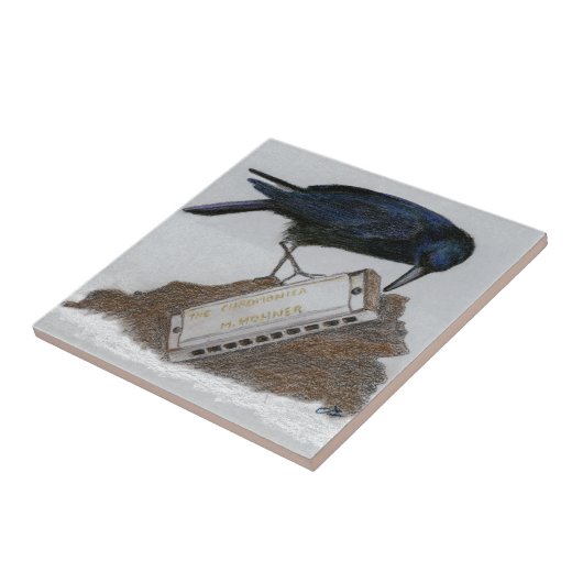 Carreau Corneille et Harmonica (Côté)