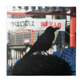 Carreau Corneille japonaise (Devant)