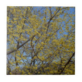 Carreau Cornelian Cherry (Devant)