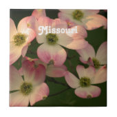 Carreau Cornouiller (Devant)