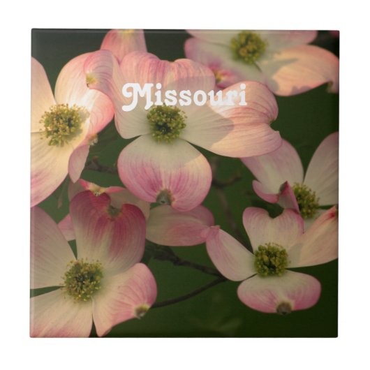 Carreau Cornouiller (Devant)