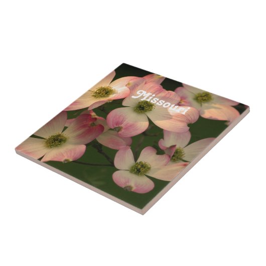 Carreau Cornouiller (Côté)