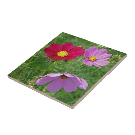 Carreau Cosmos Flower Trio Nature (Côté)