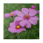 Carreau Cosmos rose Fleurs Nature (Devant)