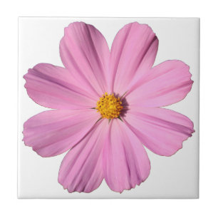 Carreau Cosmos roses
