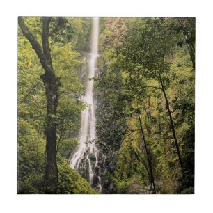 Carreau Costa Rica, île Cocos, cascade de Wafer Bay