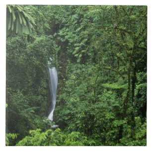 Carreau Costa Rica, région du volcan Arenal, ponts suspend