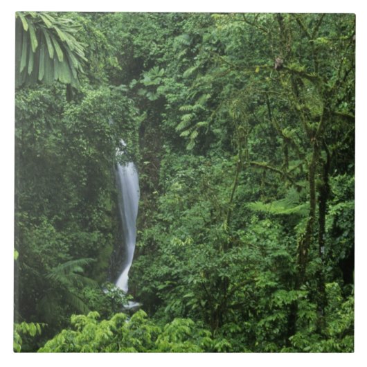 Carreau Costa Rica, zone volcanique d'Arenal, pont de Hang (Devant)