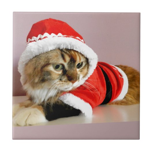 Carreau Costume de Père Noël de chat de minou de Joyeux (Devant)