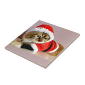 Carreau Costume de Père Noël de chat de minou de Joyeux (Côté)